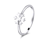 Silver Ring NSR-2694